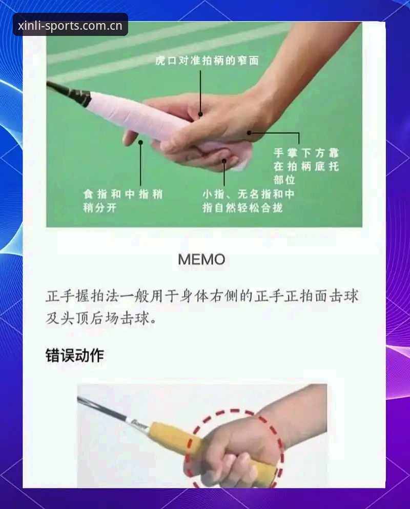 新手入门指南 vs 老手进阶技巧：新利体育平台如何让你快速上手？